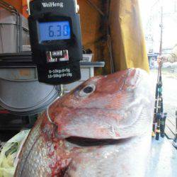 大進丸（愛知） 釣果
