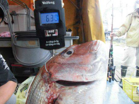 大進丸（愛知） 釣果