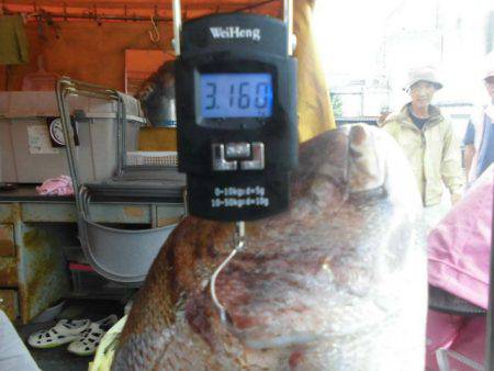 大進丸（愛知） 釣果