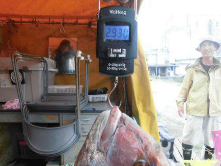 大進丸（愛知） 釣果