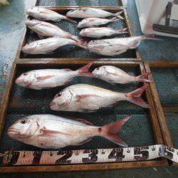 大進丸（愛知） 釣果