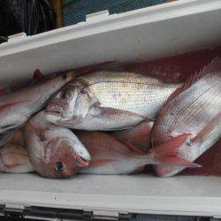 大進丸（愛知） 釣果