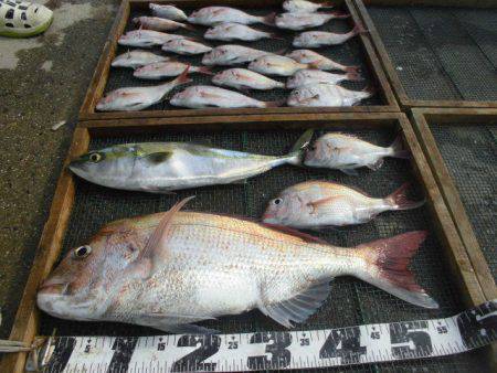 大進丸（愛知） 釣果