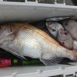 大進丸（愛知） 釣果