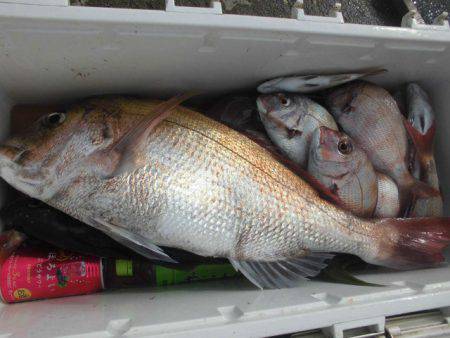 大進丸（愛知） 釣果