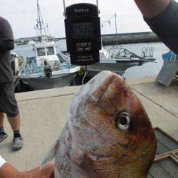 大進丸（愛知） 釣果