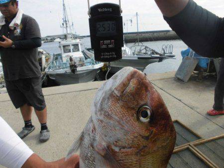 大進丸（愛知） 釣果