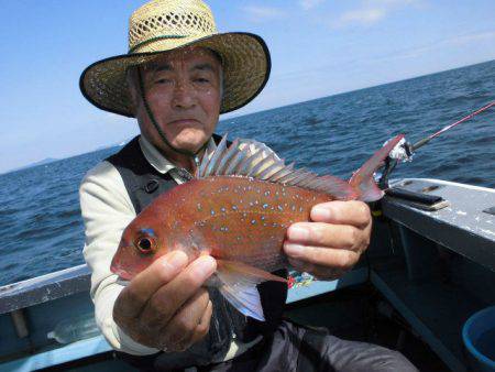 大進丸（愛知） 釣果