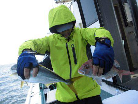 大進丸（愛知） 釣果