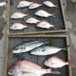 大進丸（愛知） 釣果