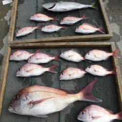 大進丸（愛知） 釣果