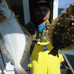 大進丸（愛知） 釣果