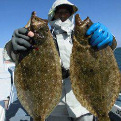 大進丸（愛知） 釣果