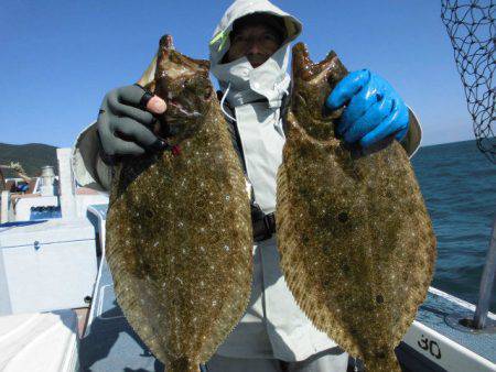 大進丸（愛知） 釣果