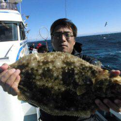 大進丸（愛知） 釣果
