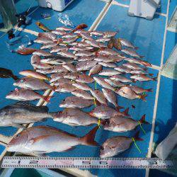 十八宝洋丸 釣果