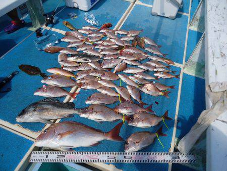 十八宝洋丸 釣果