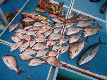 十八宝洋丸 釣果