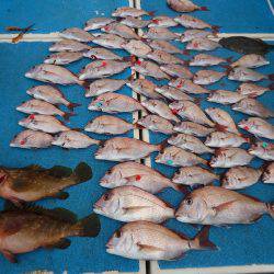 十八宝洋丸 釣果