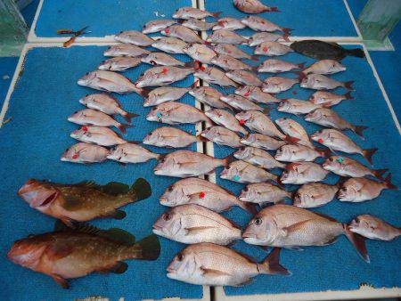 十八宝洋丸 釣果