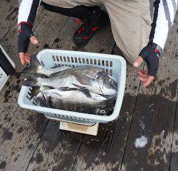 バラモン1号 釣果