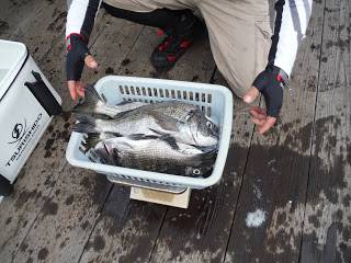 バラモン1号 釣果