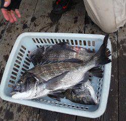 バラモン1号 釣果