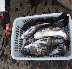 バラモン1号 釣果