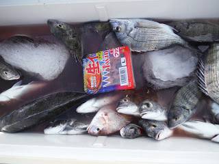 バラモン1号 釣果