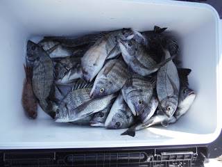 バラモン1号 釣果