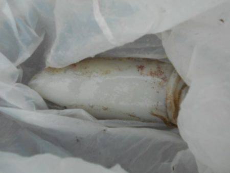 こかわ渡船　雅丸 釣果