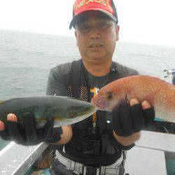 大進丸（愛知） 釣果