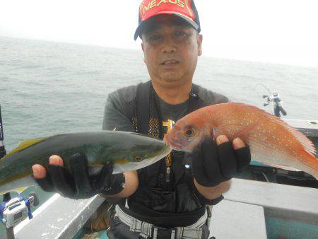 大進丸（愛知） 釣果