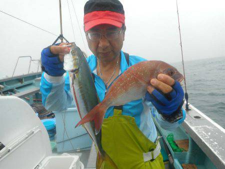 大進丸（愛知） 釣果