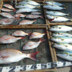 大進丸（愛知） 釣果