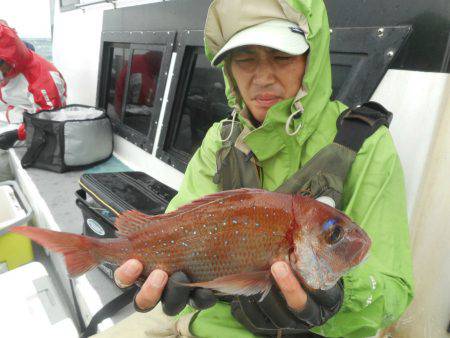 大進丸(愛知) 釣果