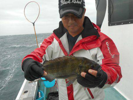 大進丸(愛知) 釣果