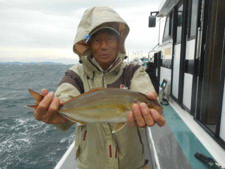 大進丸(愛知) 釣果