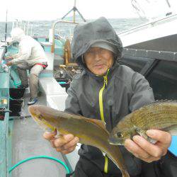 大進丸(愛知) 釣果