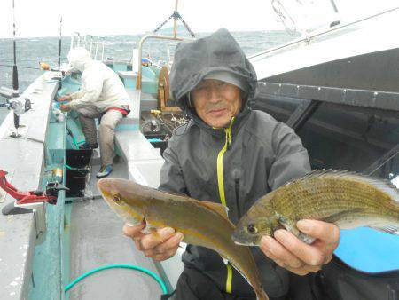 大進丸(愛知) 釣果