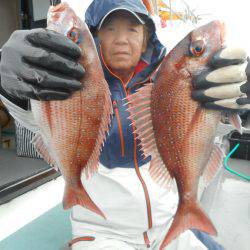 大進丸（愛知） 釣果