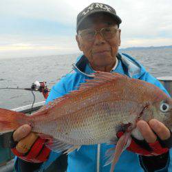 大進丸（愛知） 釣果