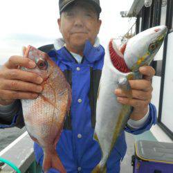 大進丸（愛知） 釣果