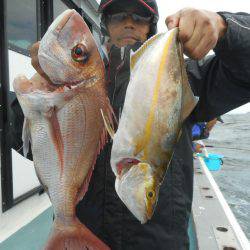 大進丸（愛知） 釣果