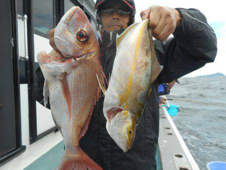 大進丸（愛知） 釣果