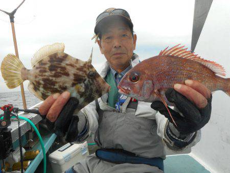 大進丸（愛知） 釣果