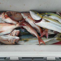 大進丸（愛知） 釣果