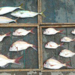 大進丸（愛知） 釣果