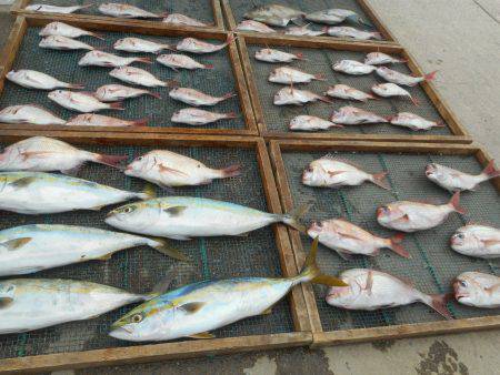 大進丸（愛知） 釣果