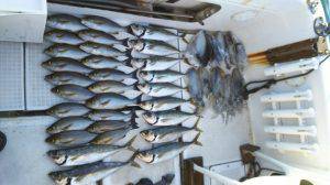 さぶろう丸 釣果